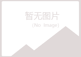 桑日县山柏水泥有限公司